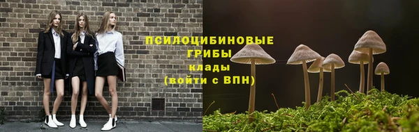 бутират Майский