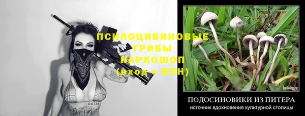MESCALINE Мегион