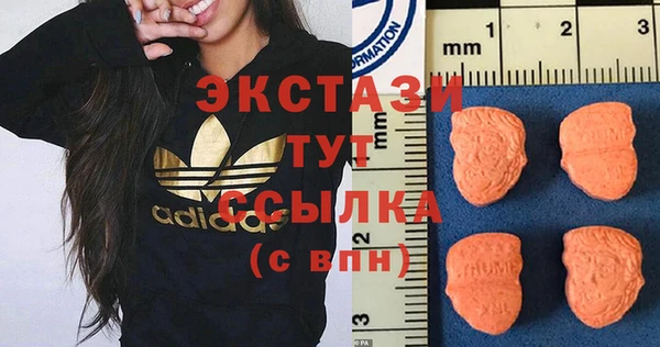 гашик Медногорск