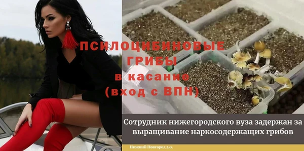 мяу мяу мука Медвежьегорск