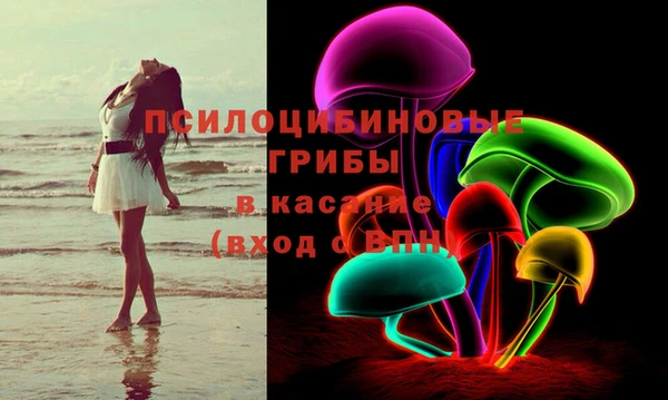 ешки Домодедово